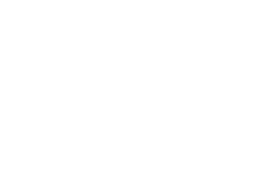 BigSkyFranchiseLogo_white